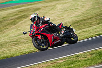 brands-hatch-photographs;brands-no-limits-trackday;cadwell-trackday-photographs;enduro-digital-images;event-digital-images;eventdigitalimages;no-limits-trackdays;peter-wileman-photography;racing-digital-images;snetterton;snetterton-no-limits-trackday;snetterton-photographs;snetterton-trackday-photographs;trackday-digital-images;trackday-photos